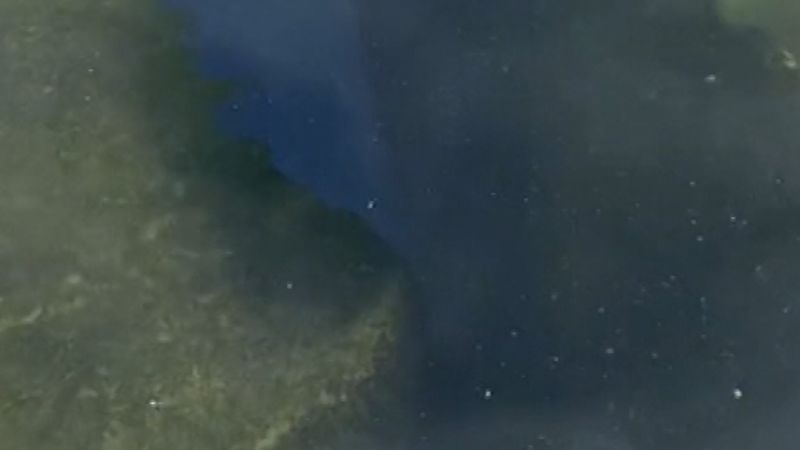 wp-header-logo-28.png