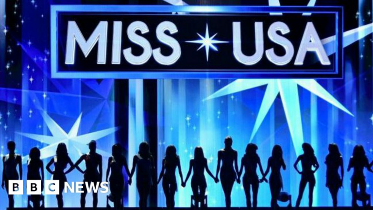wp-header-logo-293.png